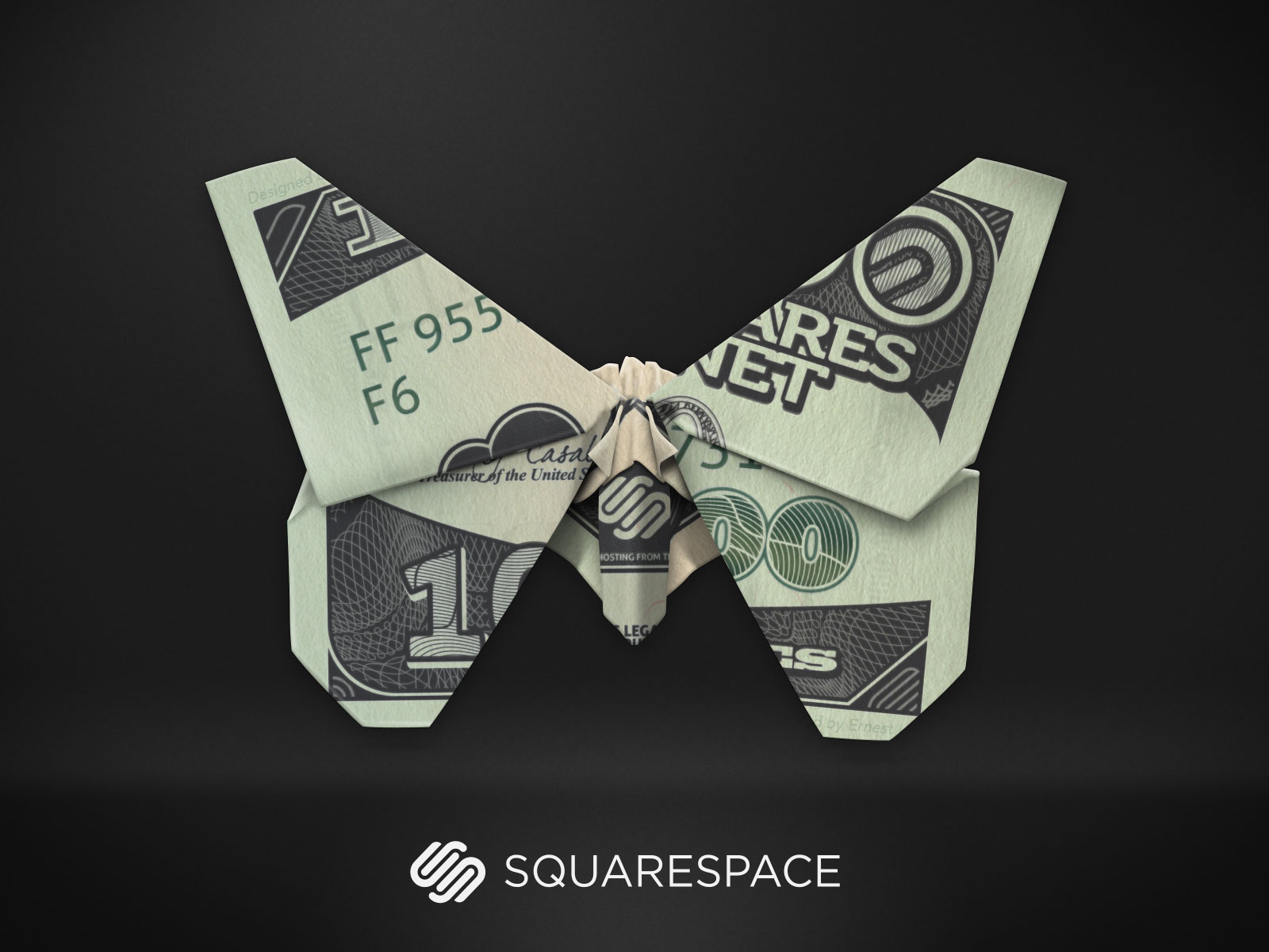 squarespace-butterfly