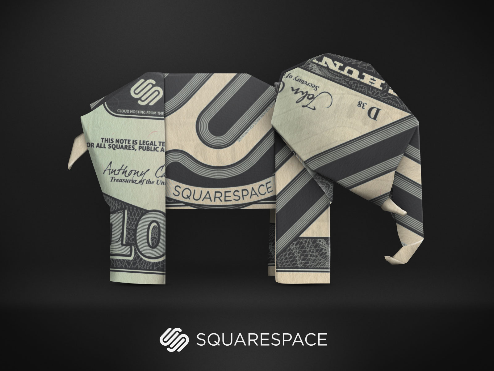 squarespace-elephant